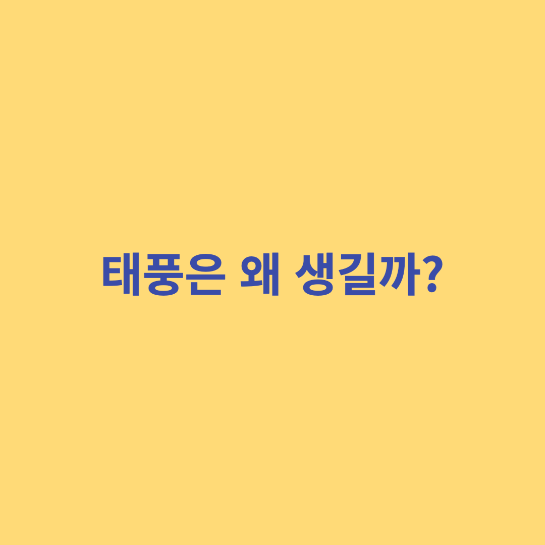 태풍이란?