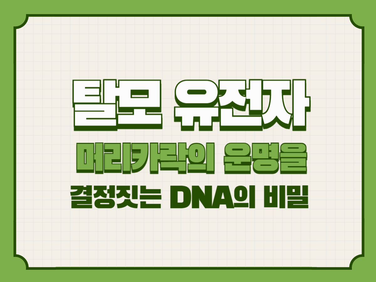 탈모 유전자 &ndash; 머리카락의 운명을 결정짓는 DNA의 비밀
