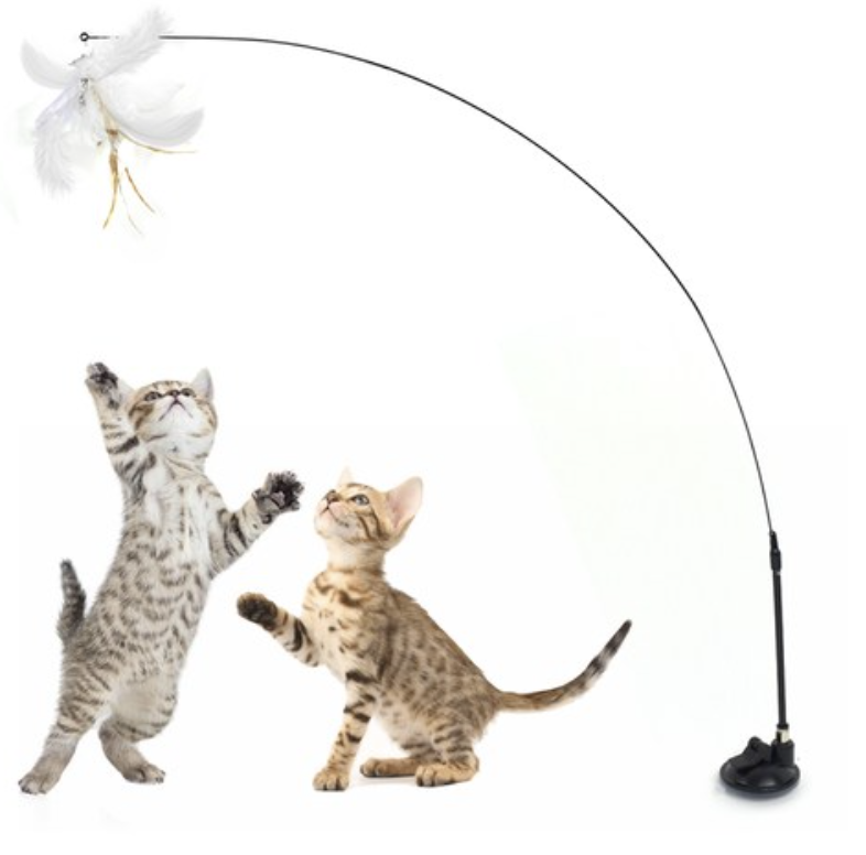 고양이 롱 낚싯대 추천