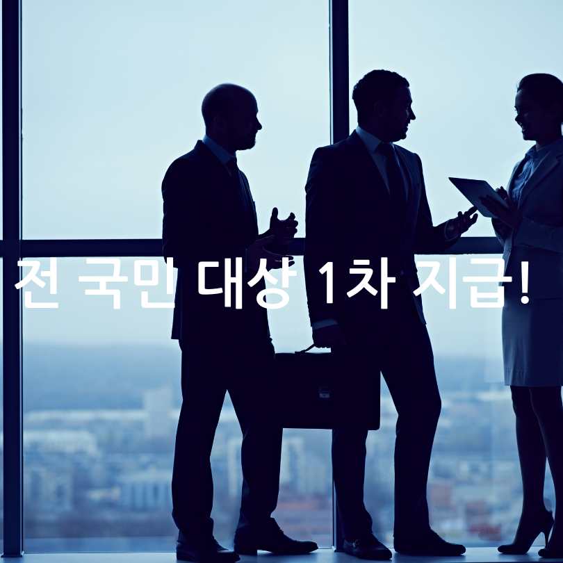 2025 민생회복 소비쿠폰 사용처 제한