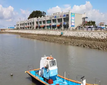 남당항 새조개 축제_17