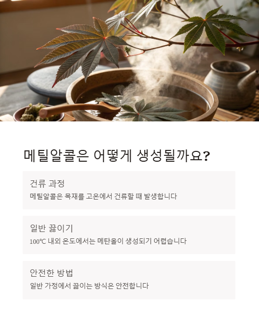 메틸알콜은 어떻게 생성될까요