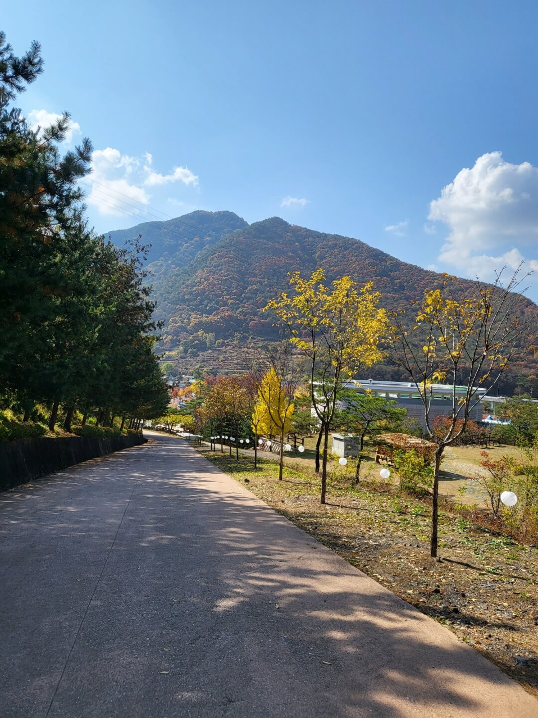 문경 에코랄라 가은오픈세트장