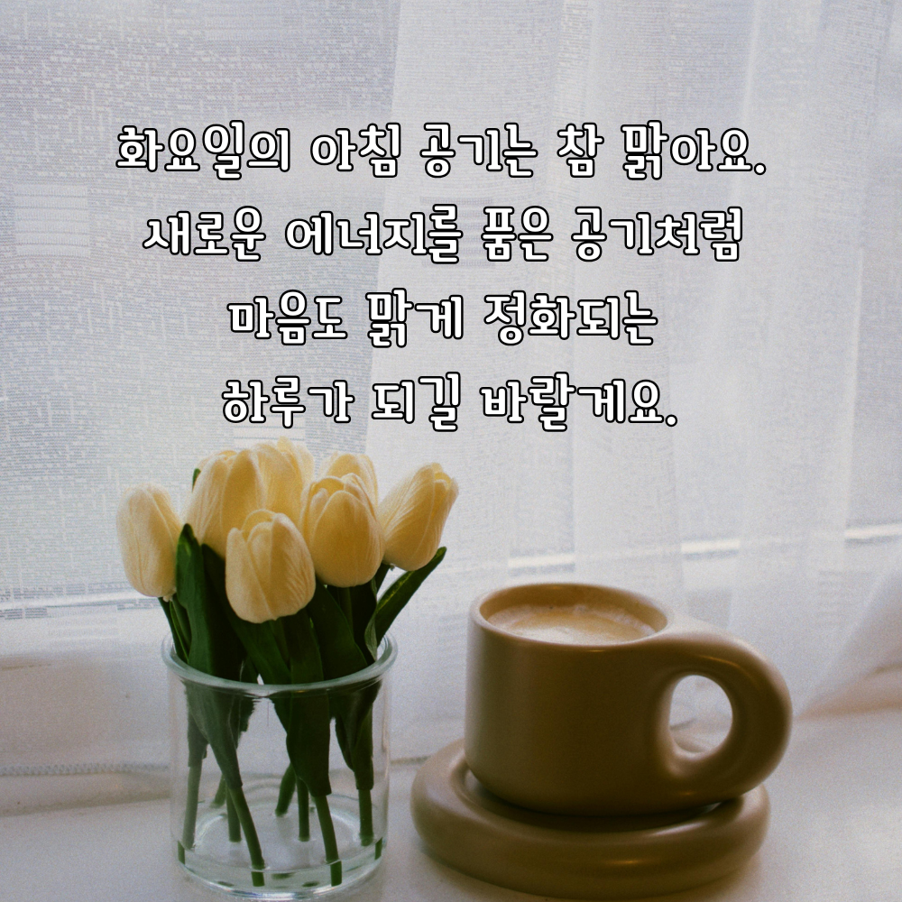 맑은 아침 공기처럼 마음을 정화하는 화요일 인사