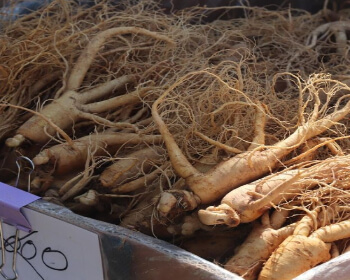 풍기인삼축제_4