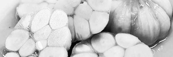 마늘장아찌 황금비율