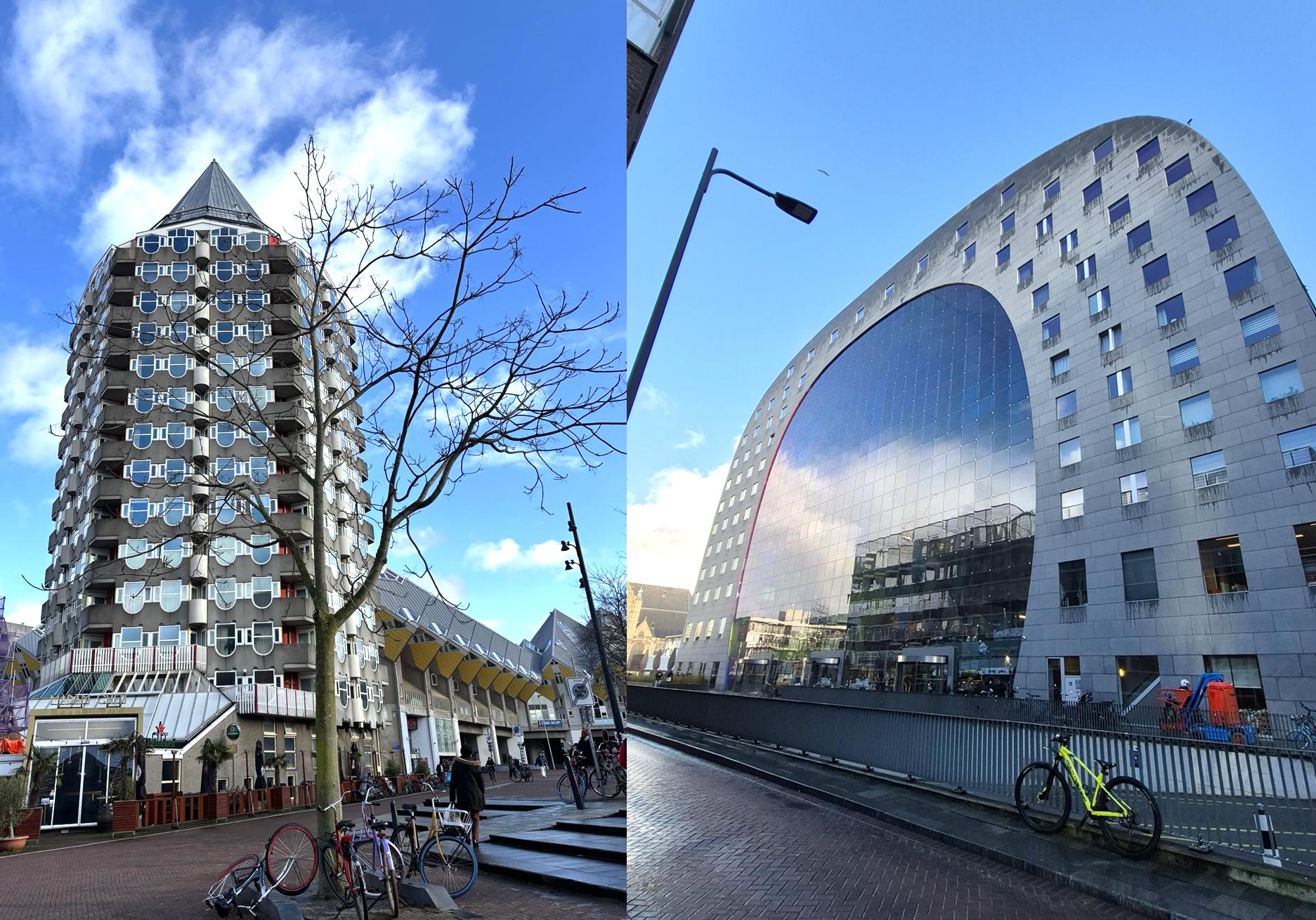 로테르담 건물들 사진