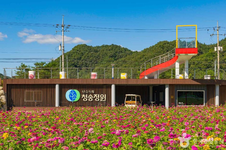 청송 가볼만한곳 베스트10