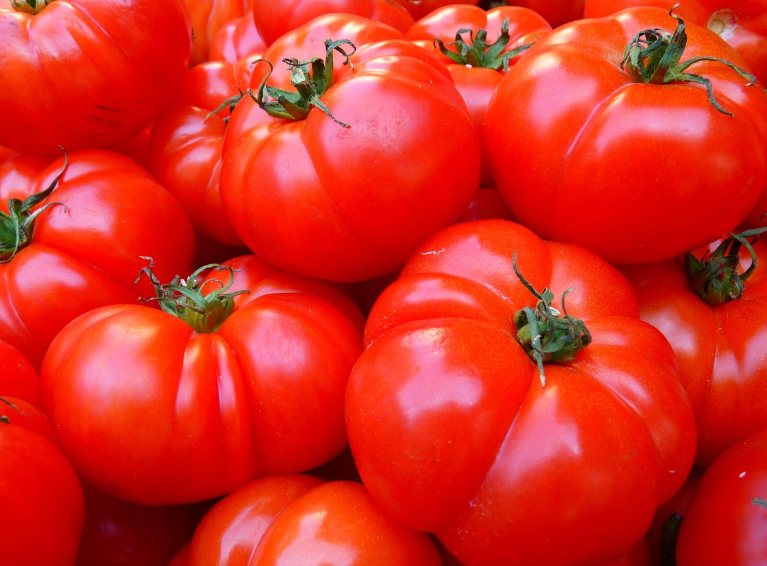 토마토 관련 사진