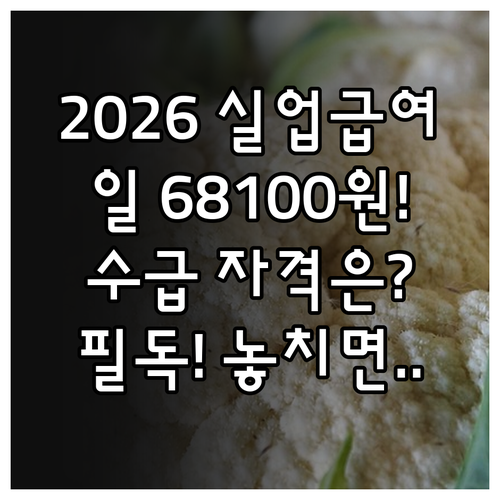 2026년 달라지는 실업급여 상한액 ..