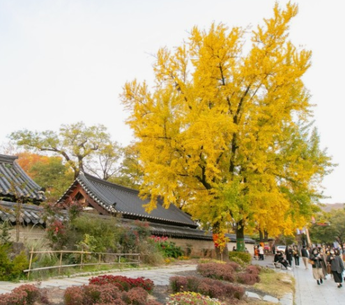 가을-여행하기-좋은-곳-추천