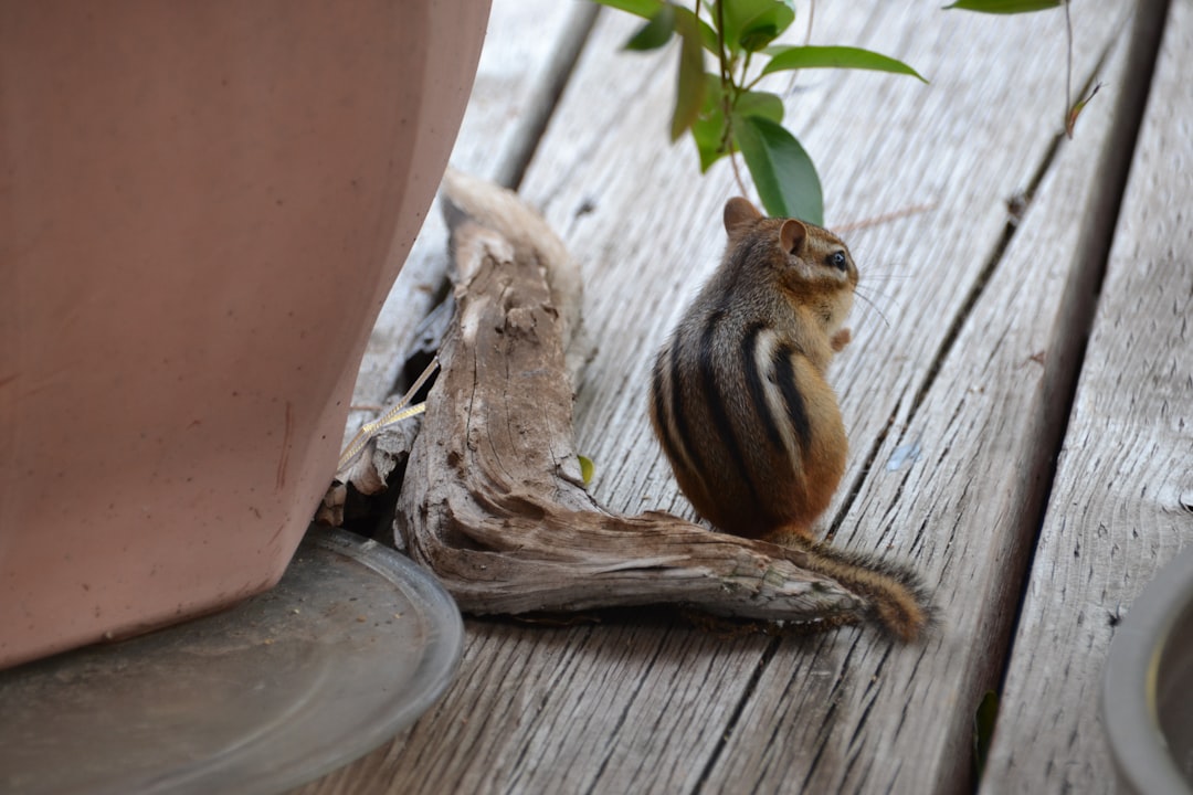 Planter