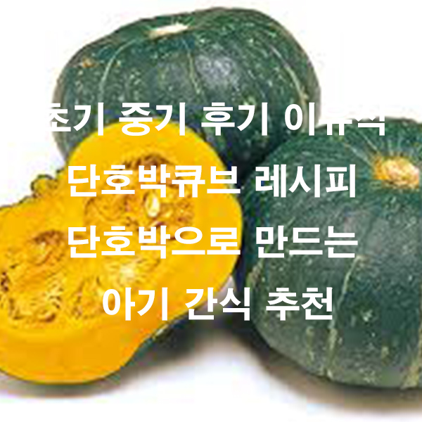 초기 중기 후기 이유식 단호박큐브 레시피 단호박으로 만드는 아기 간식 추천