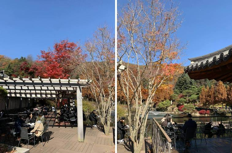 야외 자리 모습