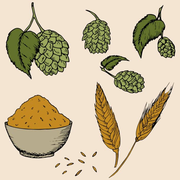 자연 치유 관점에서 본 채식주의와 비건 식단의 효과