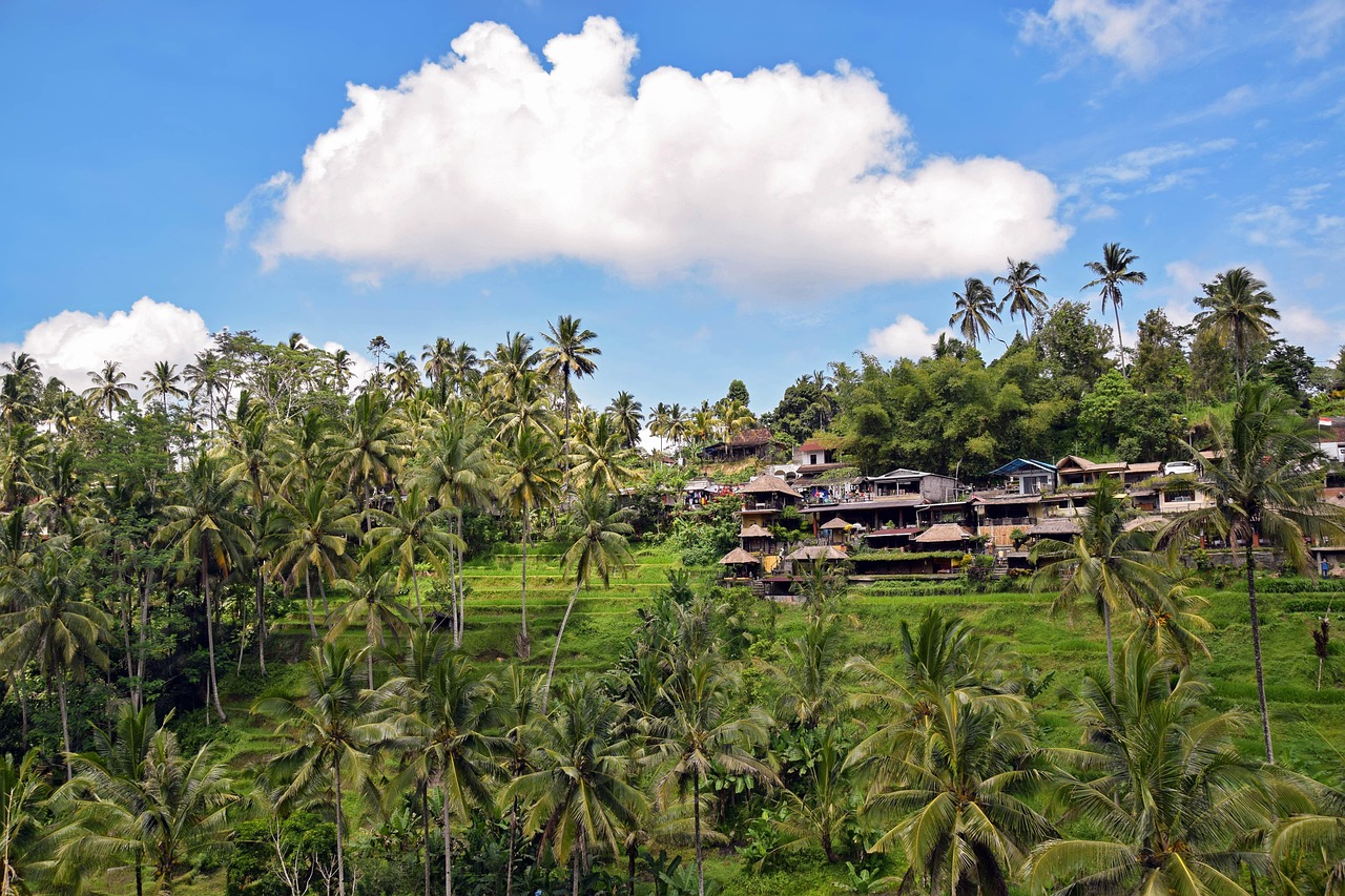 인도네시아 우붓(Ubud)