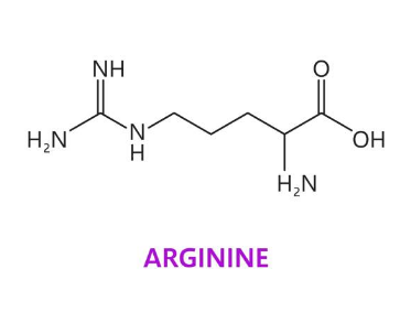 아르기닌 부작용, 아르기닌의 효능, 복용법 총정리 (2024ver)
