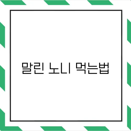 말린 노니 먹는법