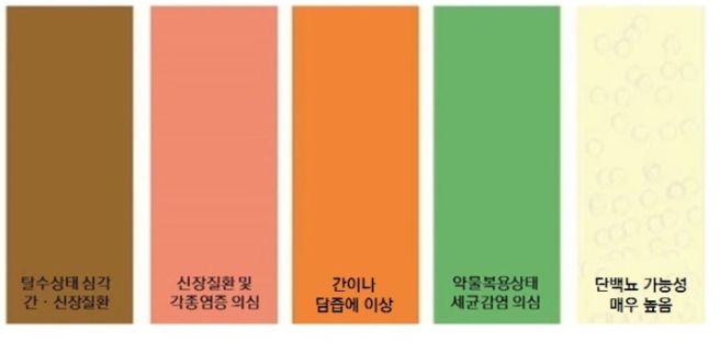 소변에 피가 섞여서 나오는 증상 혈뇨증상
