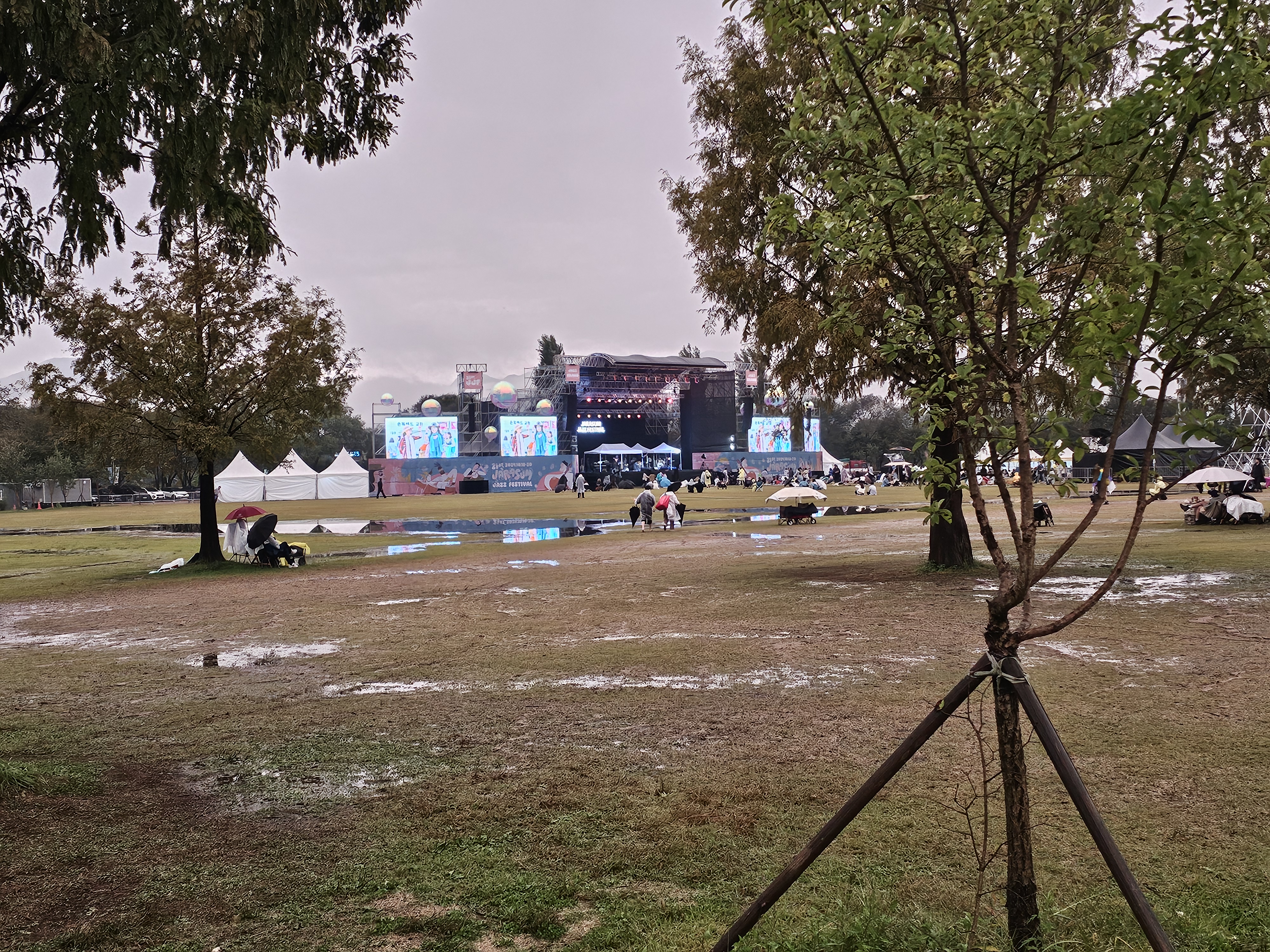 자라섬 페스티벌 2025 준비물 우천 시 실제 경험