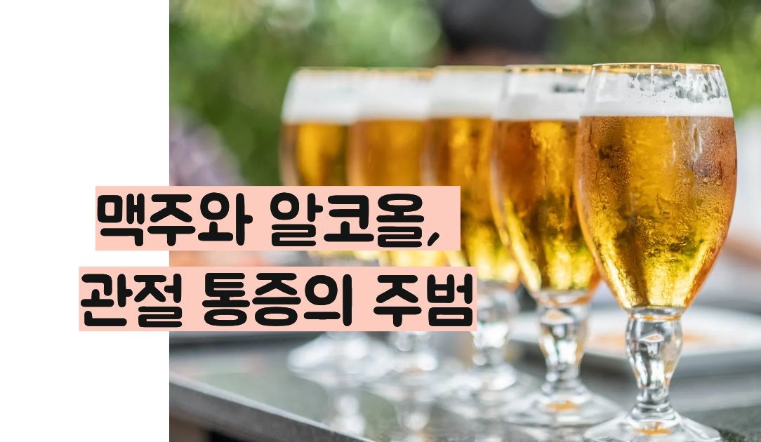 통풍에 나쁜 음식 맥주와 술