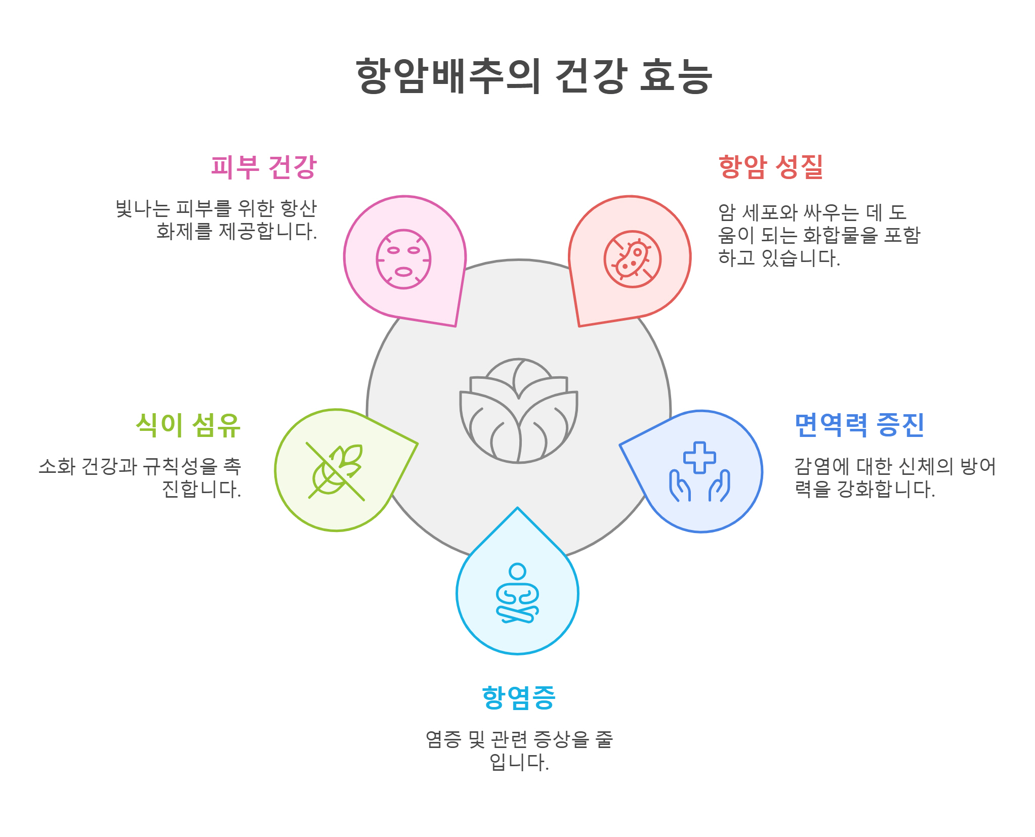 항암배추-효능-썸네일-이미지