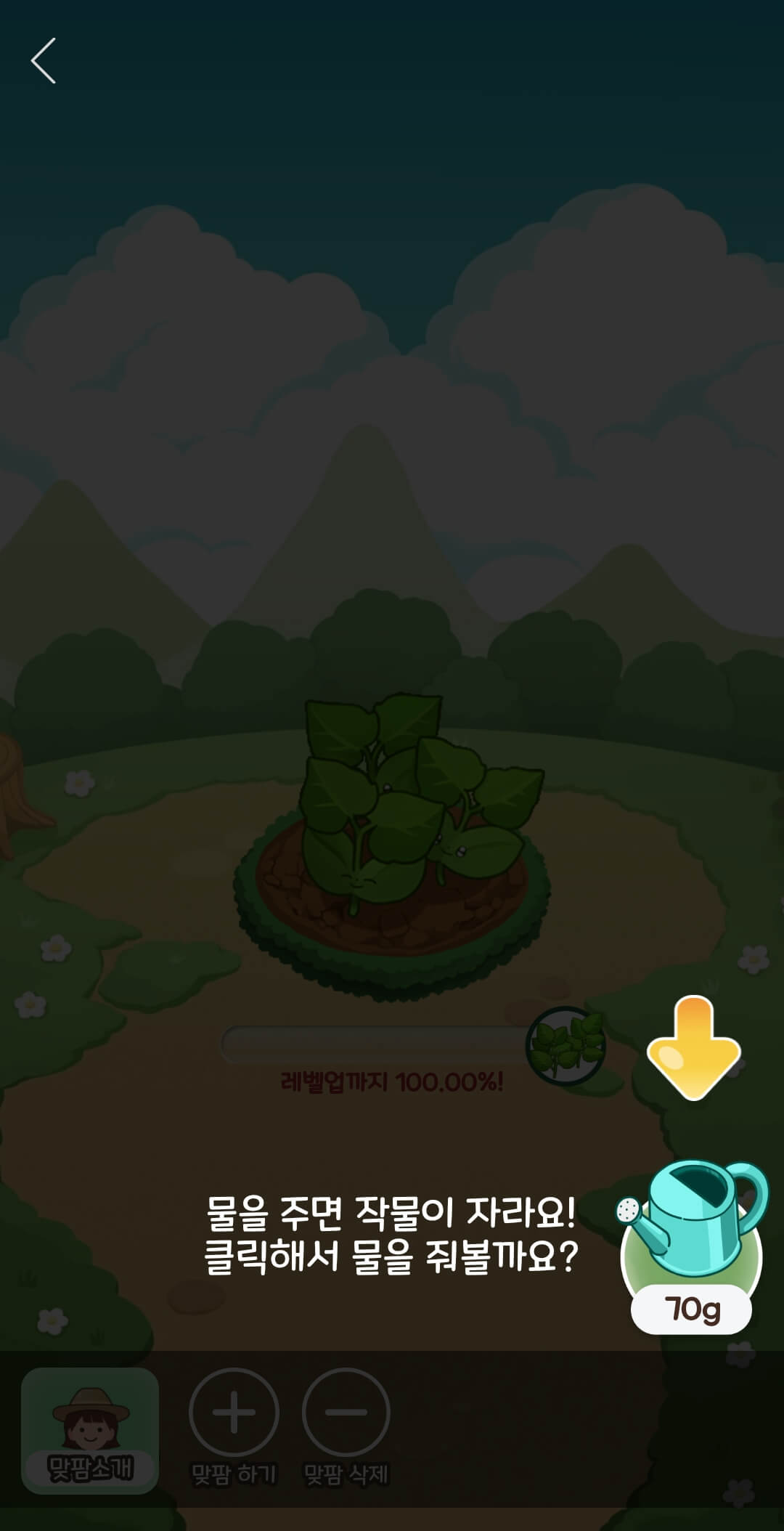 올팜 물주는 방법