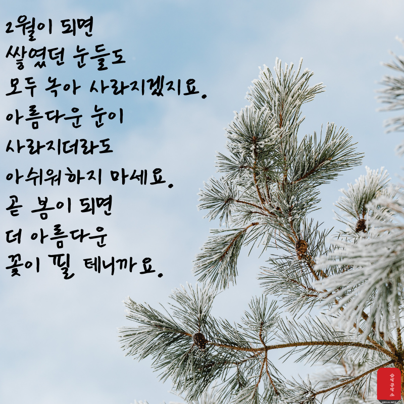2월 인사말 문구 이미지 모음집