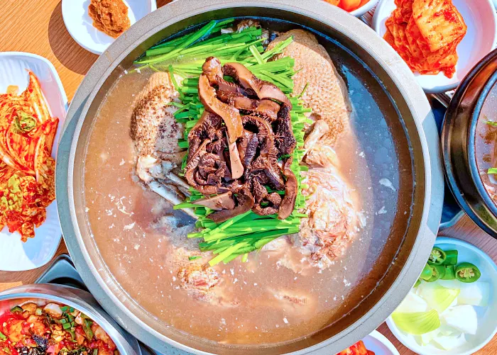 OBS 어서옵쇼 강남구청, 선릉 보양 가득 해천탕 맛집