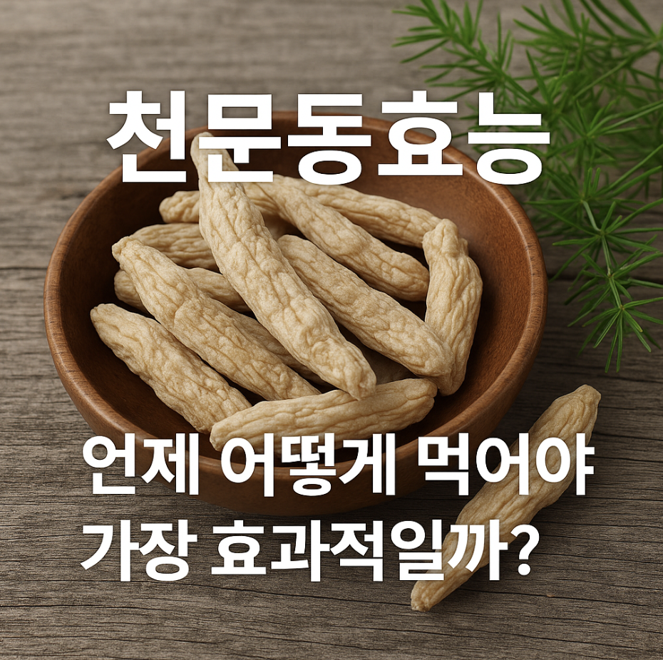 천문동효능, 언제 어떻게 먹어야 가장 효과적일까?