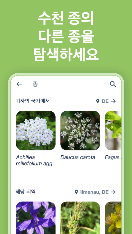 꽃 이름 찾기 어플(Flora Incognita), 꽃의 사진을 찍어 꽃의 이름 알아보기