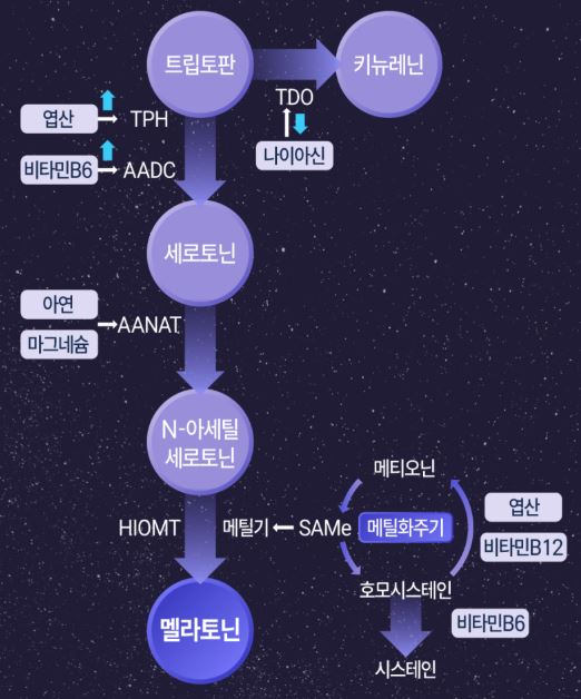 마이뉴트리 식물성 멜라토닌 마이멜라