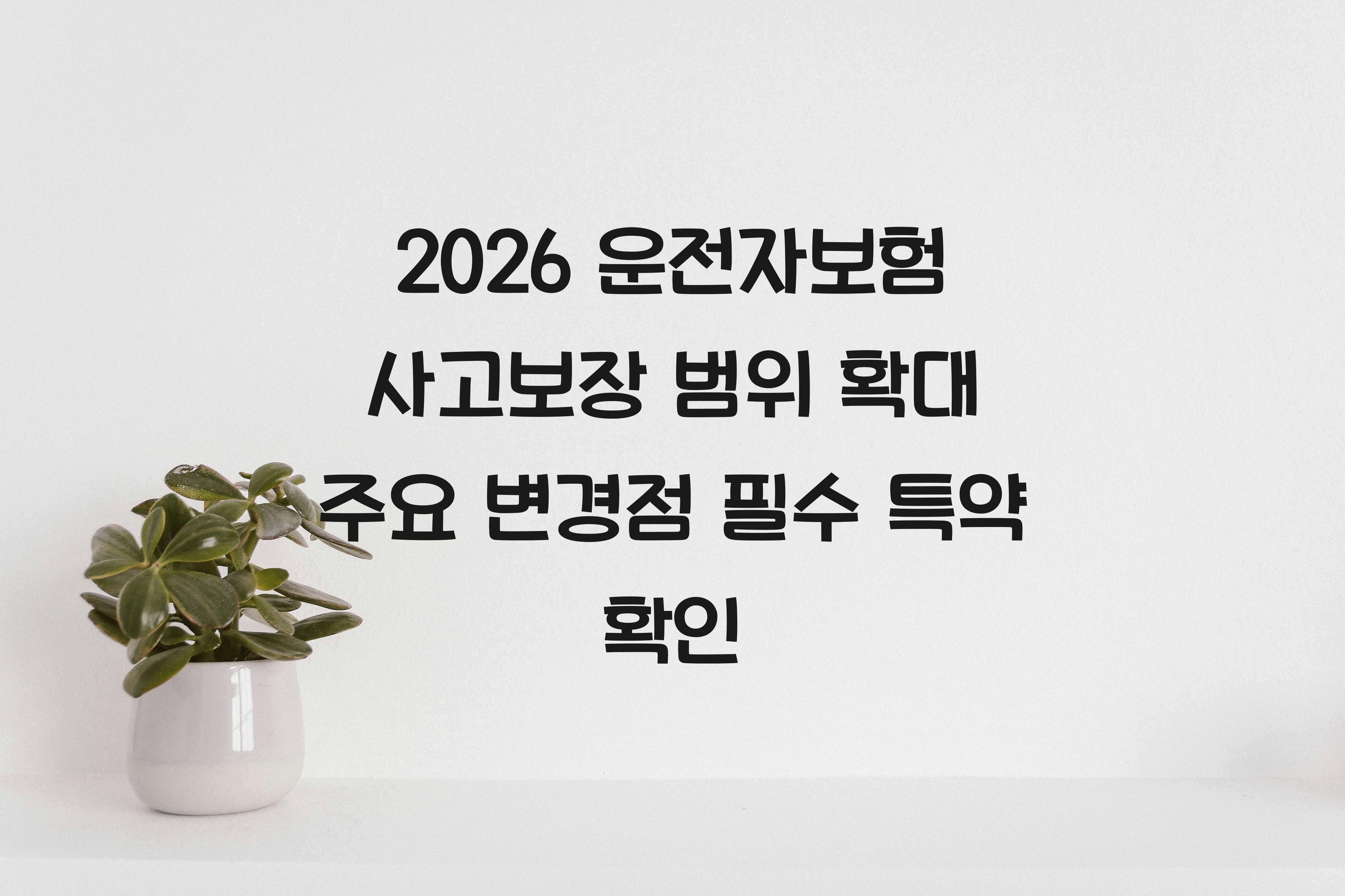 운전자보험 사고보장 범위 확대