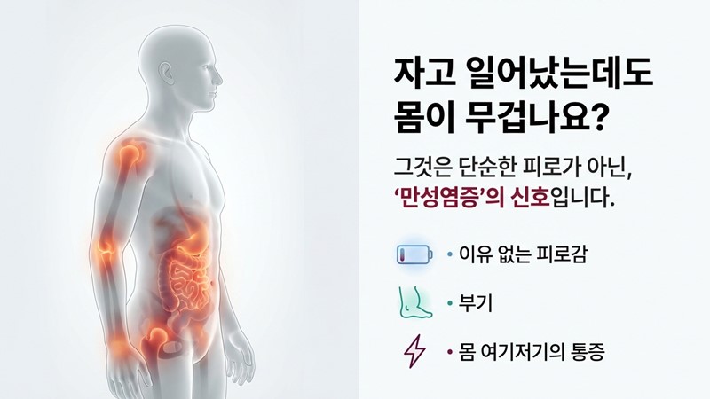 만성염증 신호