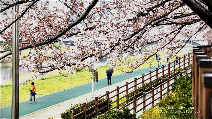 온천천 카폐거리