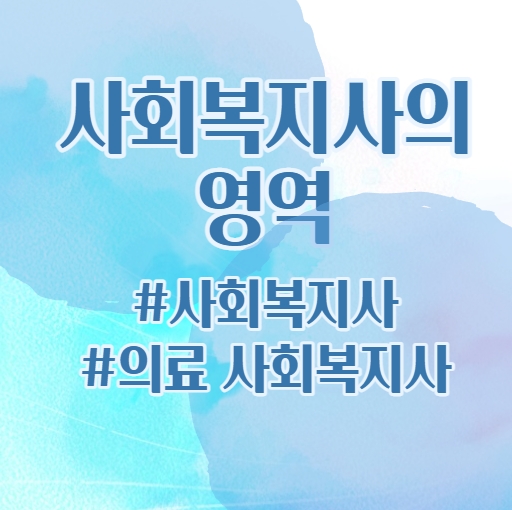 사회복지사의 영역