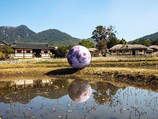 2025 영주 무섬 외나무다리 축제 — 물 위에서 즐기는 전통과 감성의 가을 축제