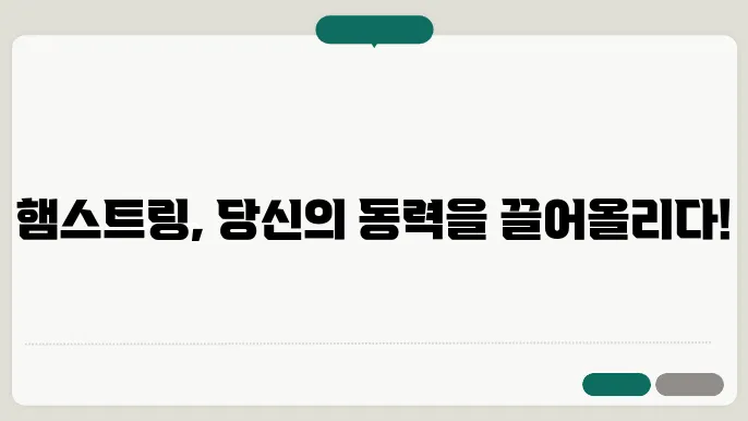 햄스트링이란? 햄스트링 운동과 스트레칭 방법