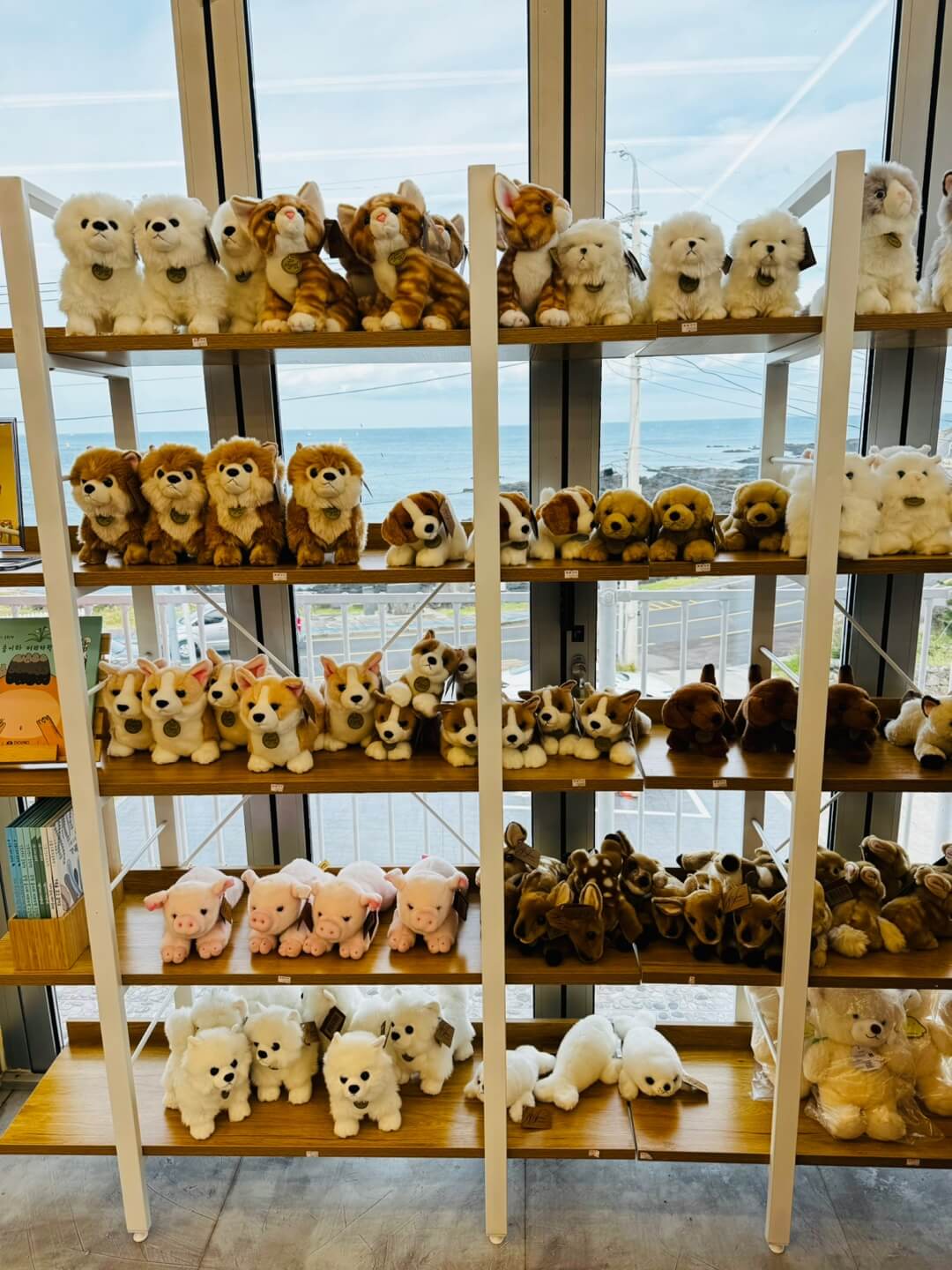 동물인형