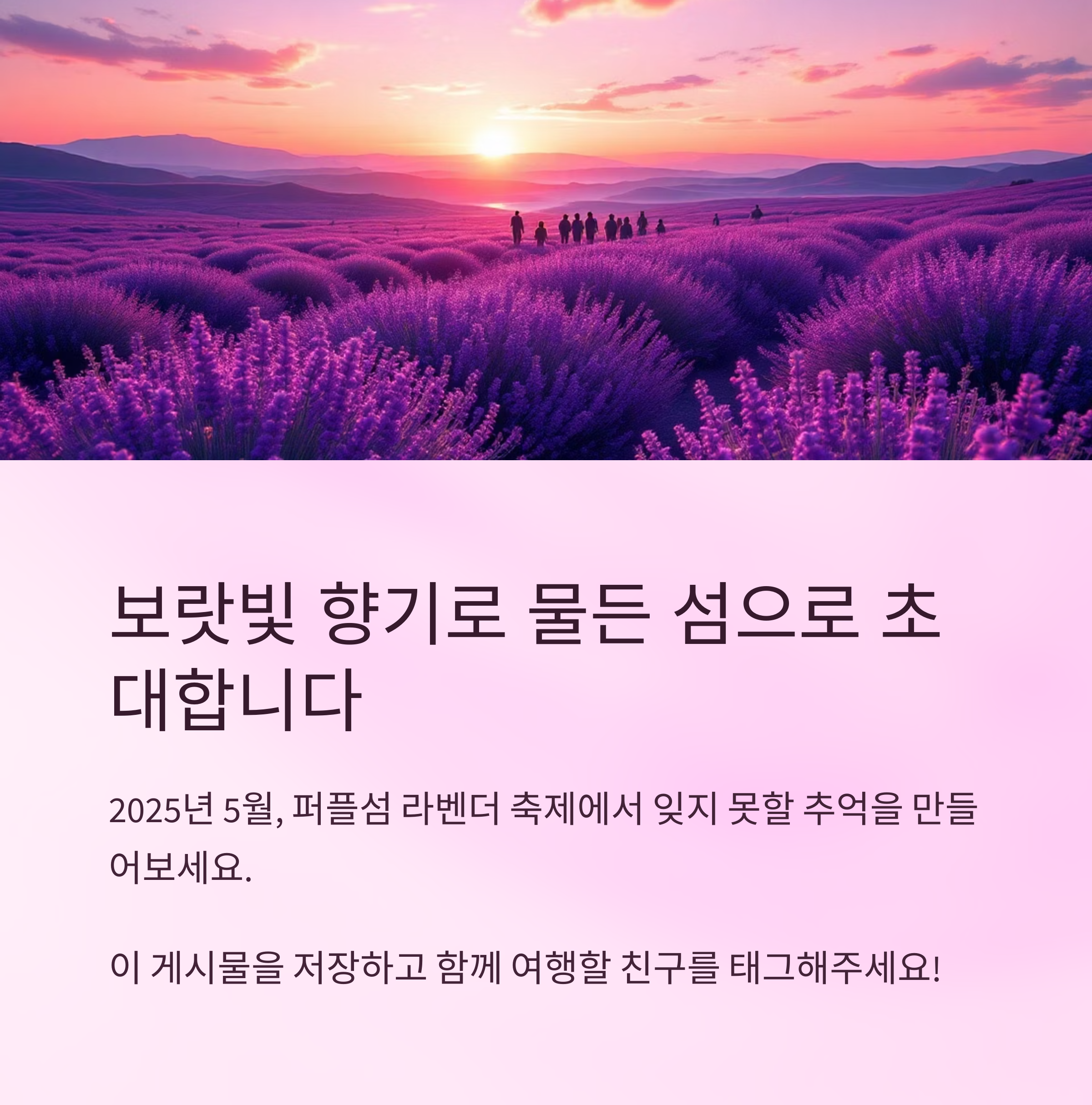 2025 퍼플섬 라벤더 축제, 보랏빛 향기로 물드는 섬 여행