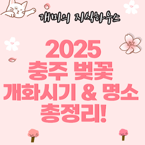 2025 충주 벚꽃 개화시기 및 명소 정리
