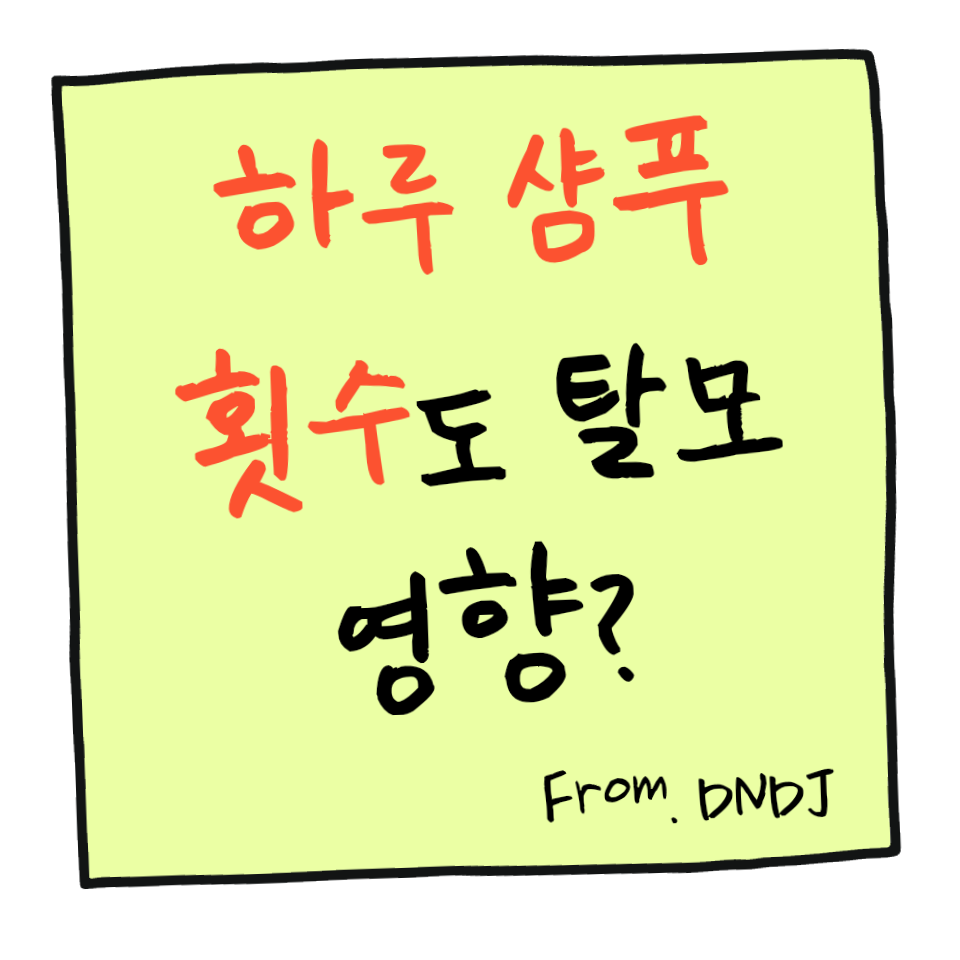 하루 샴푸 횟수 탈모 관리 아침저녁 두 번 감아도 되나 꼭 확인