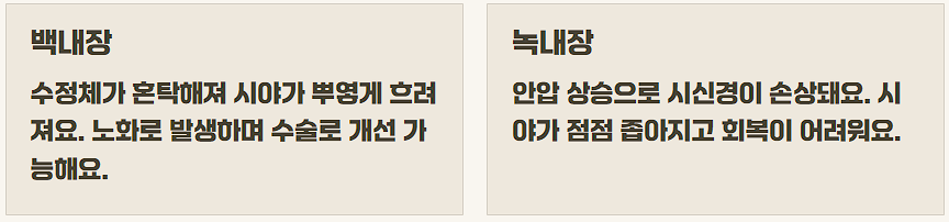 백내장 녹내장 차이