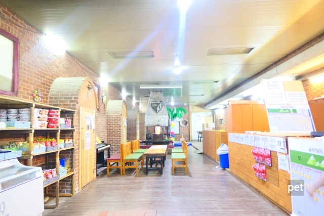 경기-연천-숲속의쉼터-캠핑장-예약-방법-애견-동반-가격-주소-시간-후기