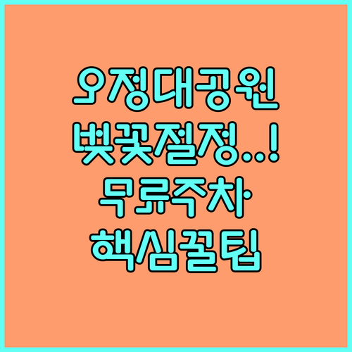 부천 오정대공원 베르네천 벚꽃 개화 ..