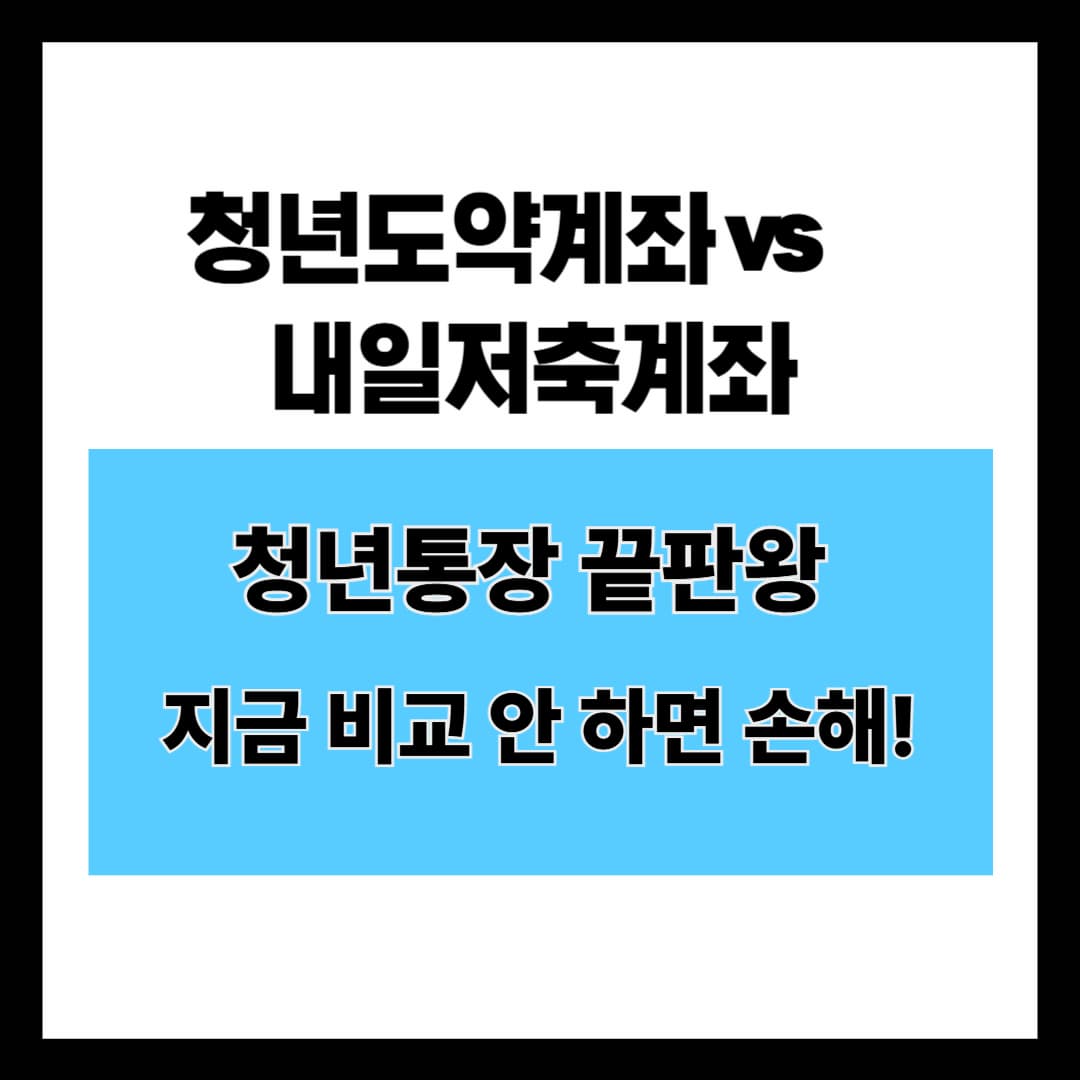 2025 청년 자산형성 지원금 비교: 청년도약계좌 vs 청년내일저축계좌, 뭐가 더 좋을까?