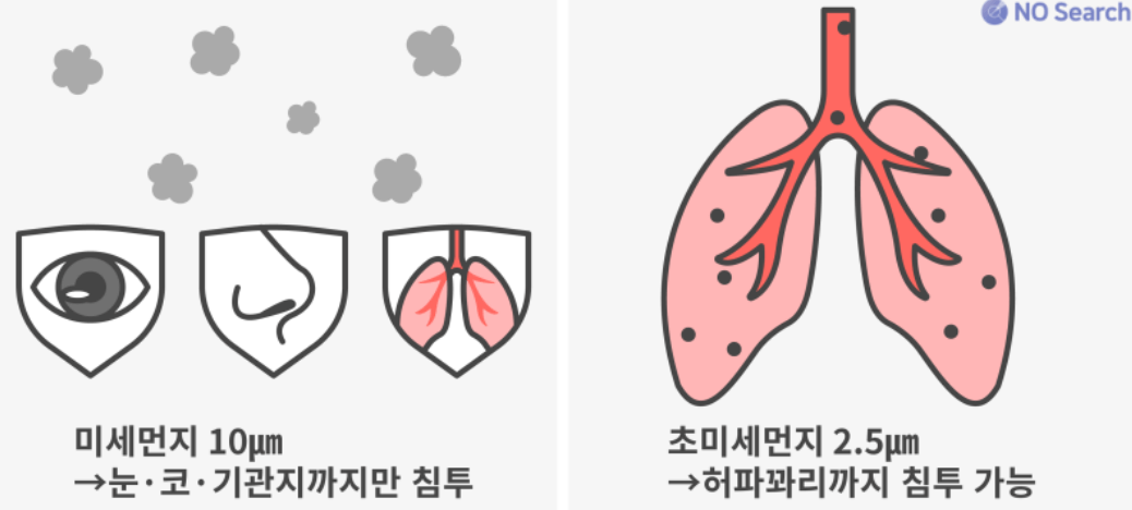 공기청정기 구매
