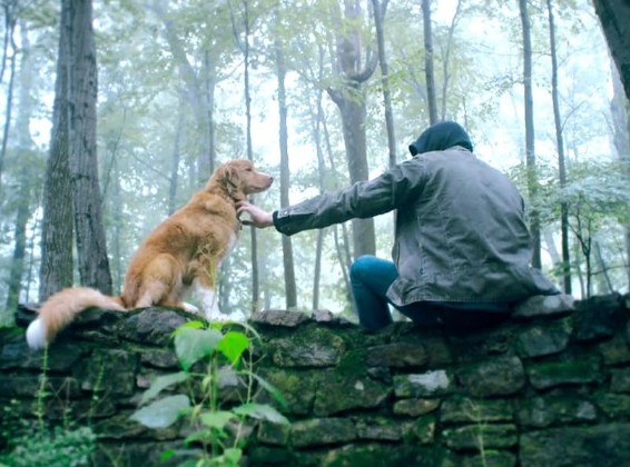 [영화 굿보이 후기/리뷰] OTT 다시보기 보는곳 - 줄거리, 결말, 재밌나요? 재미 있다 vs 재미 없다