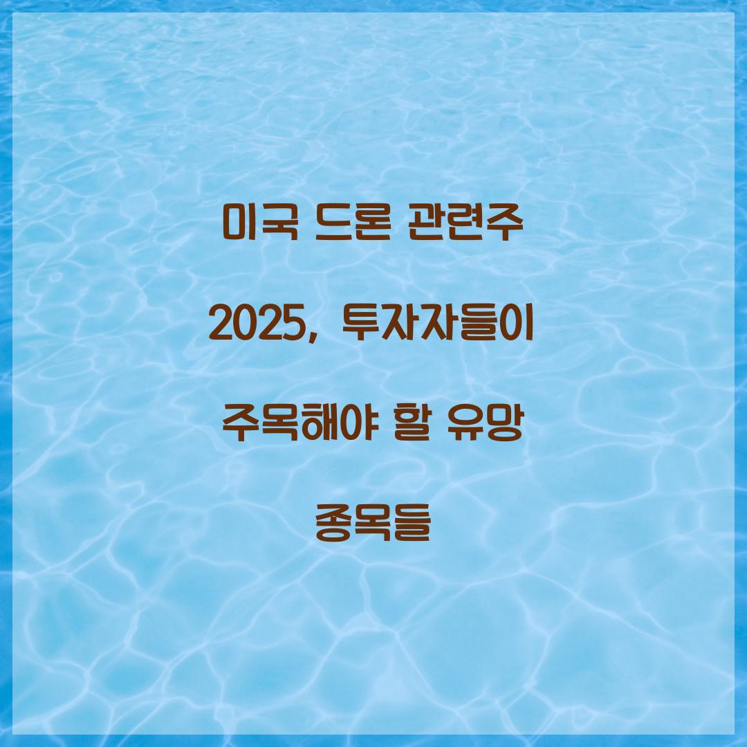 미국 드론 관련주 2025