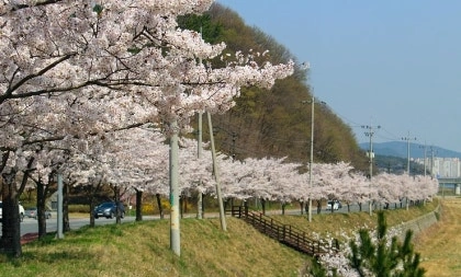 경주 흥무근린공원